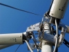 Antenna tree.jpg